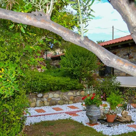 Nikos Stone House 80m From The With Wifi Holiday home *