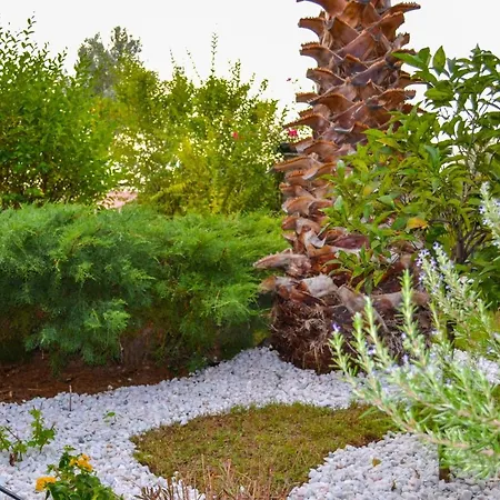 Nikos Stone House 80m From The With Wifi Holiday home