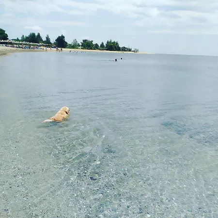 Nikos Stone House 80m From The With Wifi Casa de Férias