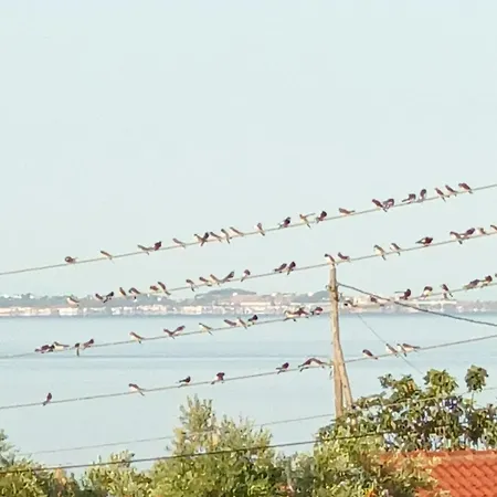 Nikos Stone House 80m From The With Wifi Casa de Férias *