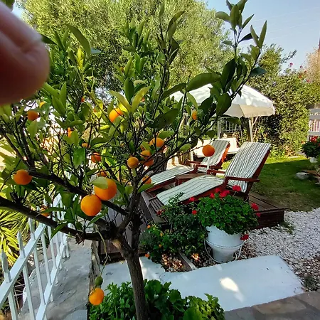 Nikos Stone House 80m From The With Wifi Holiday home Gerakini