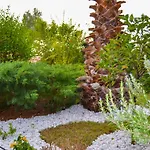 Nikos Stone House 80m From The With Wifi Holiday home
