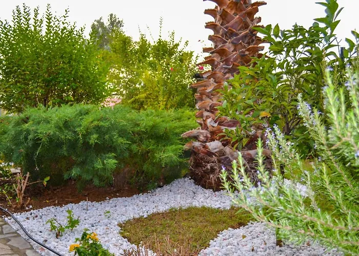 Nikos Stone House 80m From The With Wifi Ferienhaus