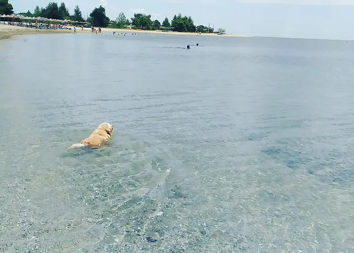 Nikos Stone House 80m From The With Wifi Ferienhaus